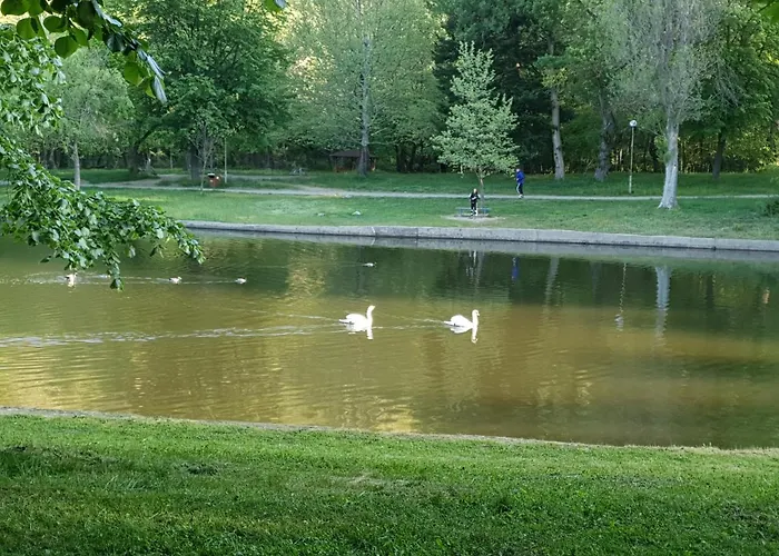 Daire Sunny Yukarı Cuma